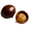 Kastanie